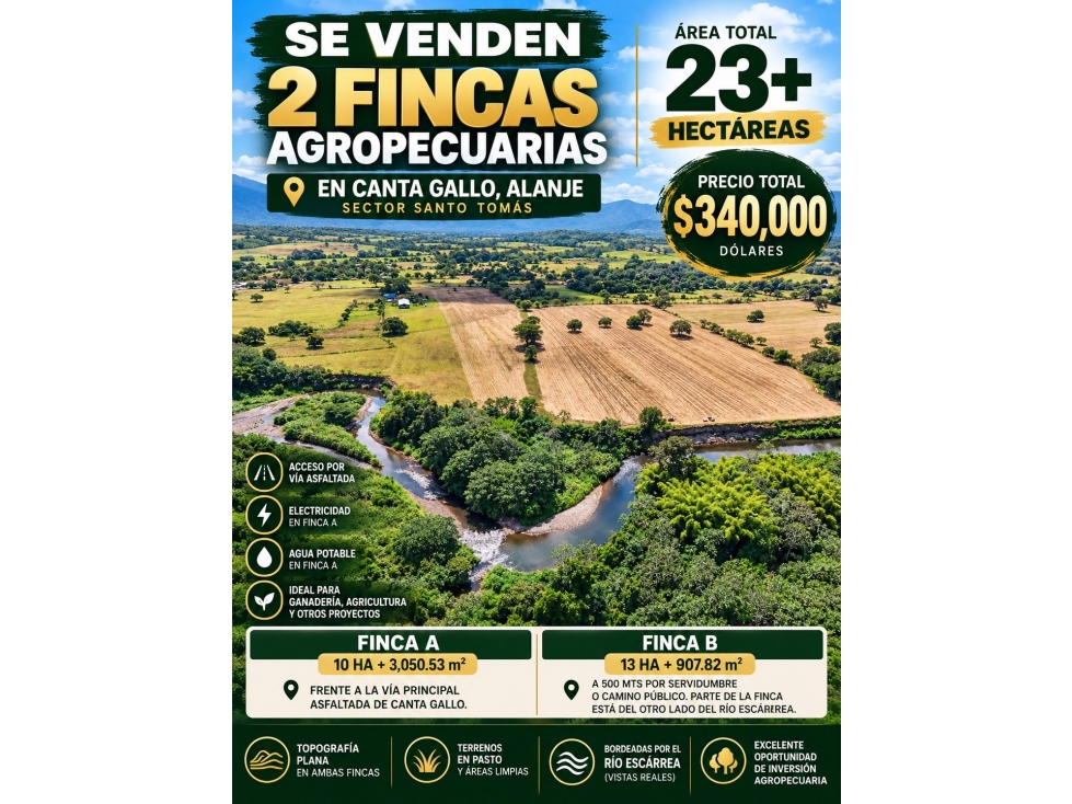 VENTA DE 2 FINCAS DE 23 HECTÁREAS EN CHIRIQUÍ | SECTOR SANTO TOMAS - 1