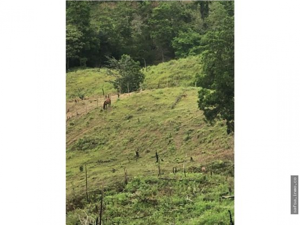 Venta de Terreno en Capira — foto 4