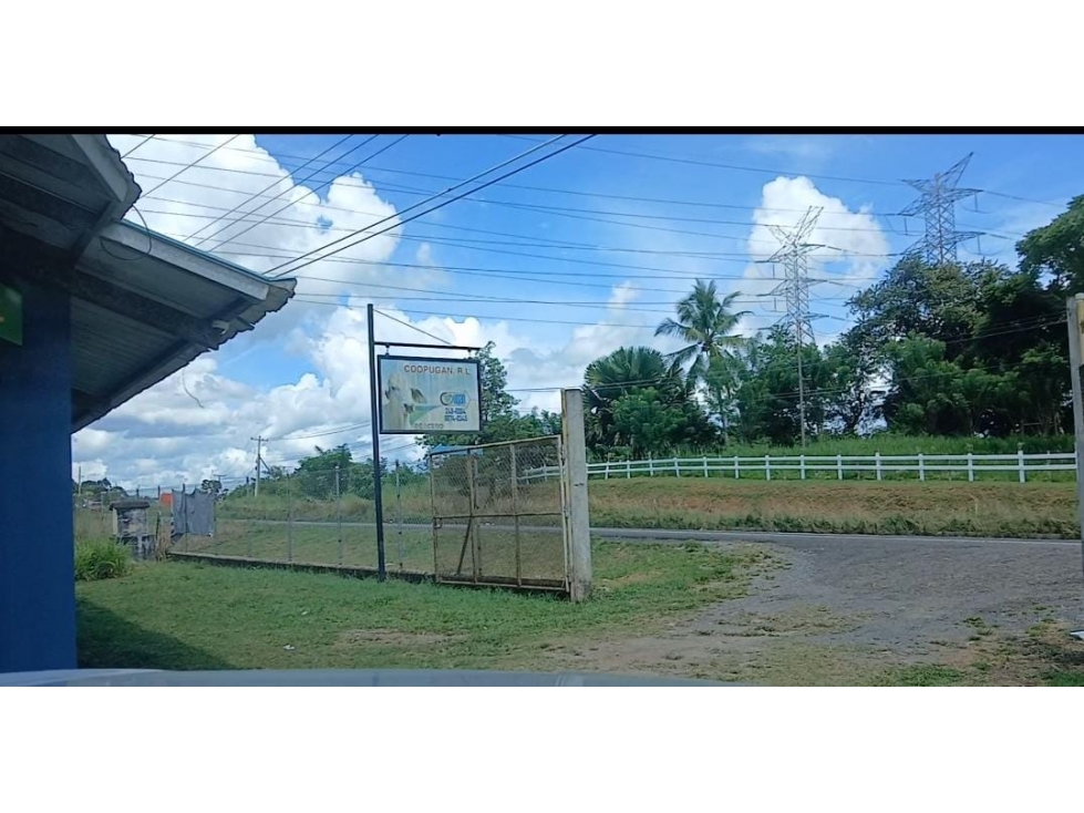 SE VENDE FINCA DE 77 HECTAREAS - PANAMA OESTE YD - 3