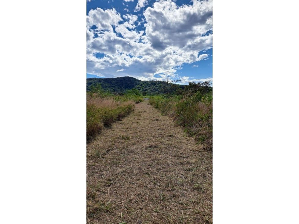 LOTE EN VENTA ALTO BOQUETE // CHIRIQUI - 4