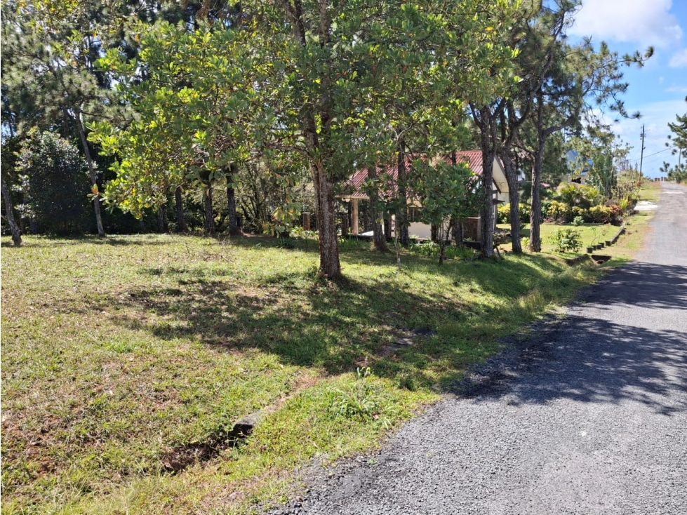 SE VENDE PROYECTO EN CERRO AZUL - 6