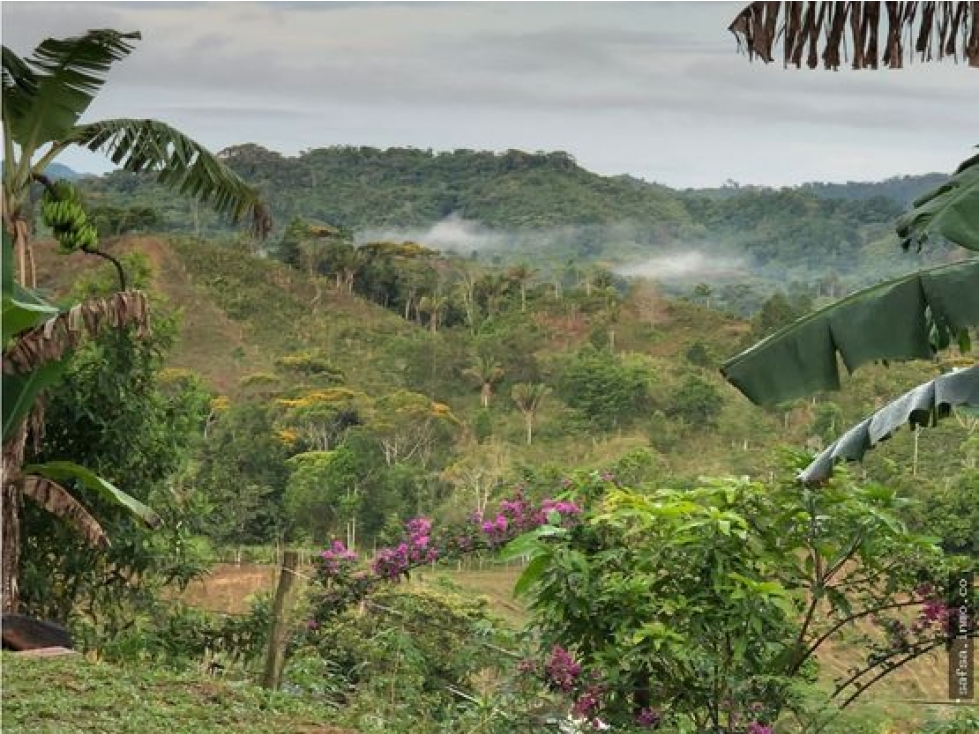 Venta de Terreno en Capira — foto 5