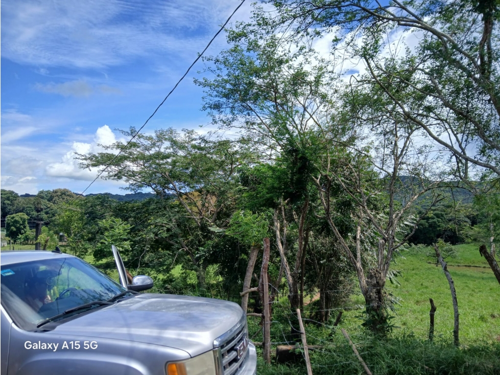 SE VENDE FINCA DE 77 HECTAREAS - PANAMA OESTE YD - 4