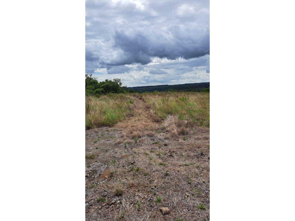 LOTE EN VENTA ALTO BOQUETE // CHIRIQUI - 5