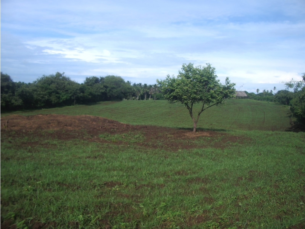 SE VENDE TERRENO EN LOS SANTOS - AZUERO - 2