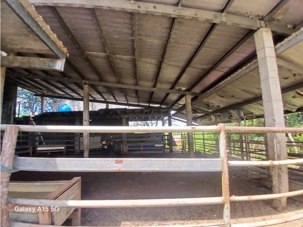 SE VENDE FINCA DE 77 HECTAREAS - PANAMA OESTE YD - 5