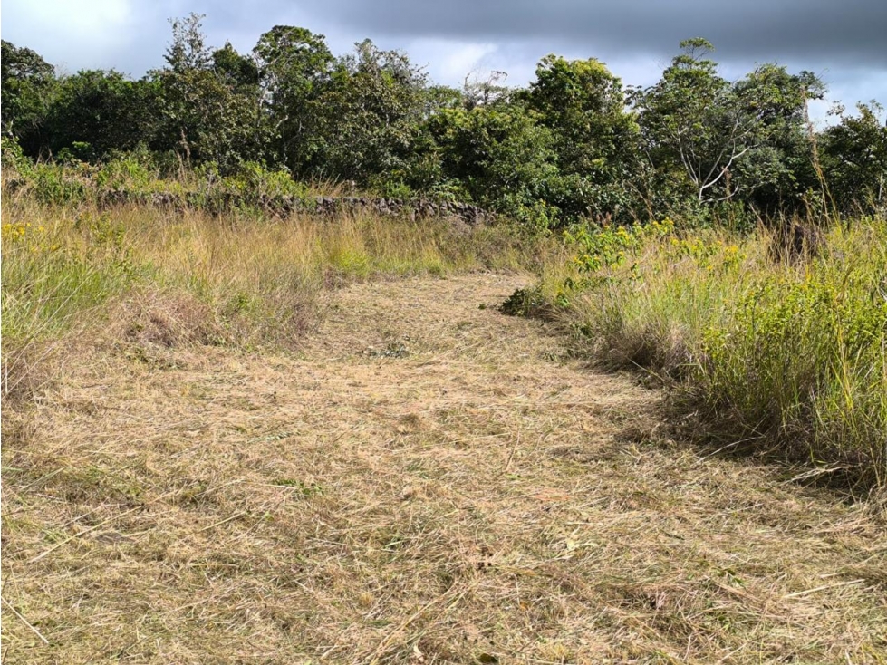 LOTE EN VENTA ALTO BOQUETE // CHIRIQUI - 6