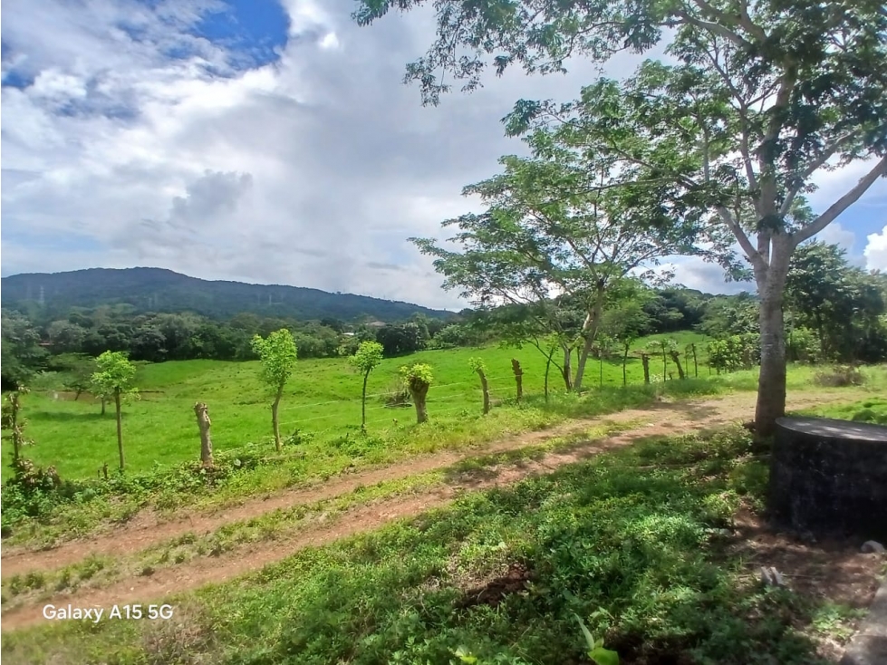 SE VENDE FINCA DE 77 HECTAREAS - PANAMA OESTE YD - 1
