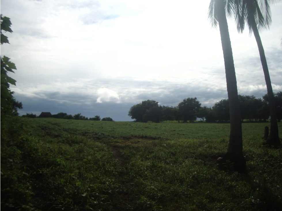 SE VENDE TERRENO EN LOS SANTOS - AZUERO - 4