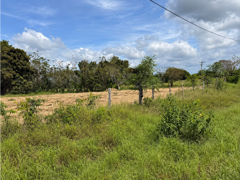 VENTA DE 2 FINCAS DE 23 HECTÁREAS EN CHIRIQUÍ | SECTOR SANTO TOMAS - 6