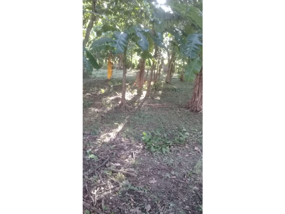 Terreno Frente a la Interamericana, Penonomé - 6