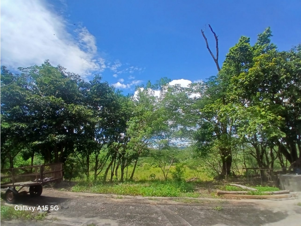 SE VENDE FINCA DE 77 HECTAREAS - PANAMA OESTE YD - 6