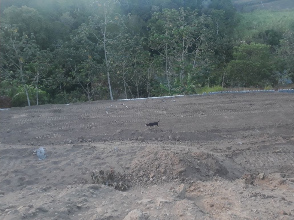 LOTE EN VENTA // LAS CUMBRES - 6