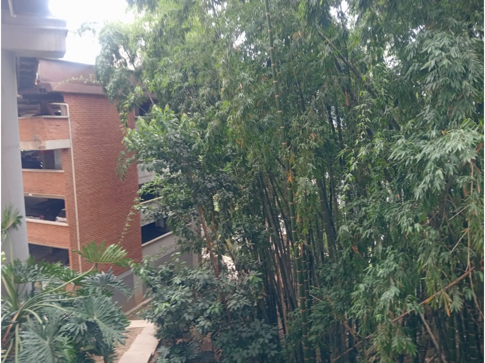APARTAMENTO EN ARRIENDO EN ENVIGADO