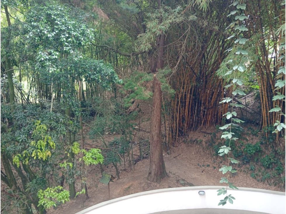 APARTAMENTO EN ARRIENDO EN ENVIGADO
