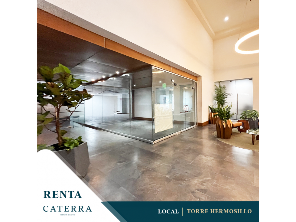 RENTA / Local Torre Hermosillo
