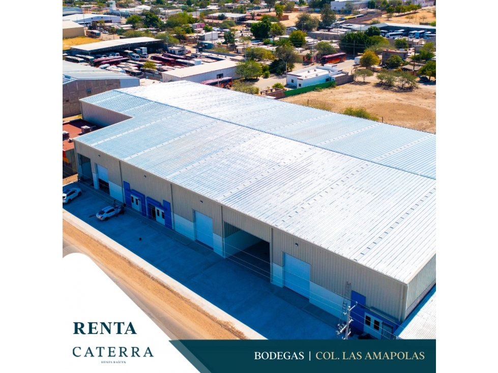 RENTA / Bodegas Col. Las Amapolas - 1