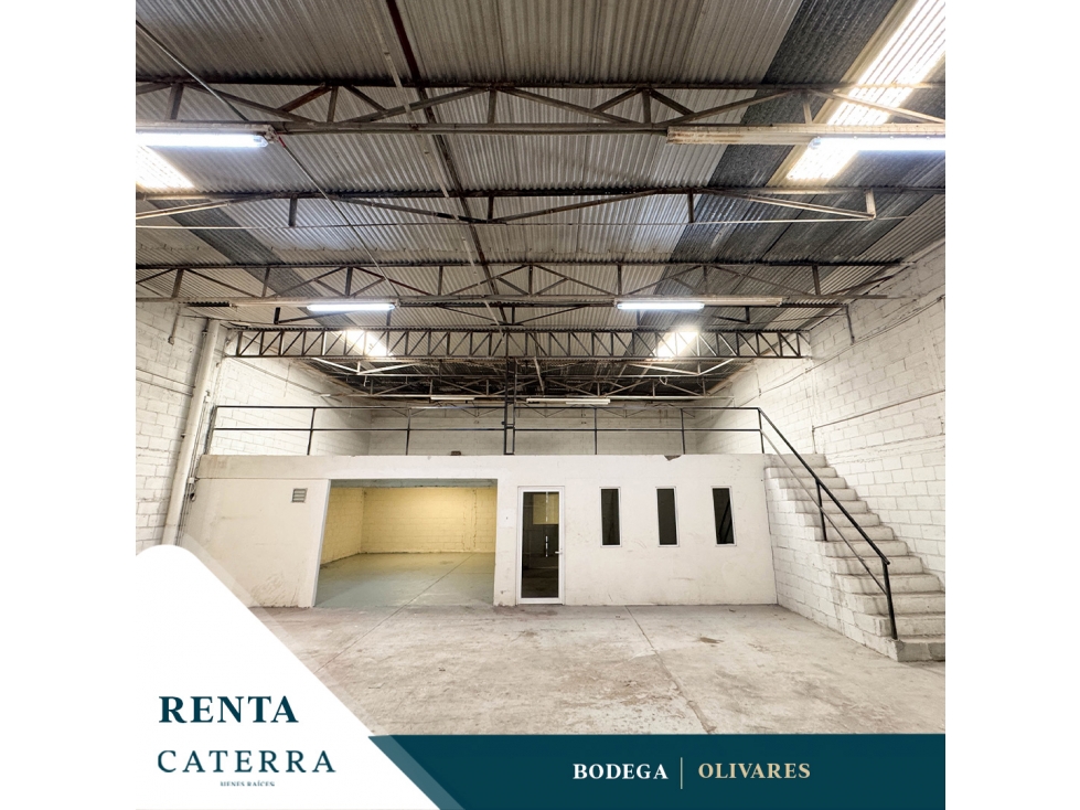 RENTA / Bodega Olivares - 1