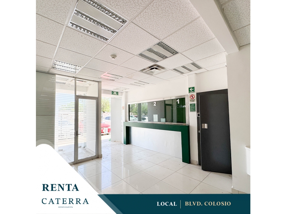 RENTA / Local Blvd. Colosio