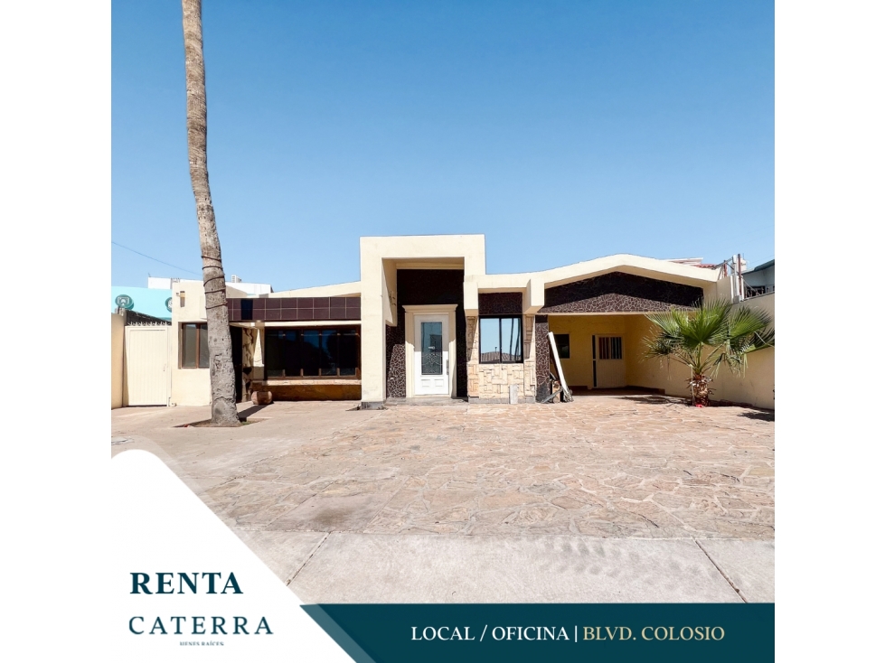 RENTA / Local - Oficina Blvd. Colosio