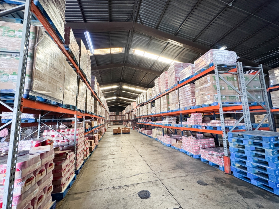 VENTA / Bodega Pimentel - 6