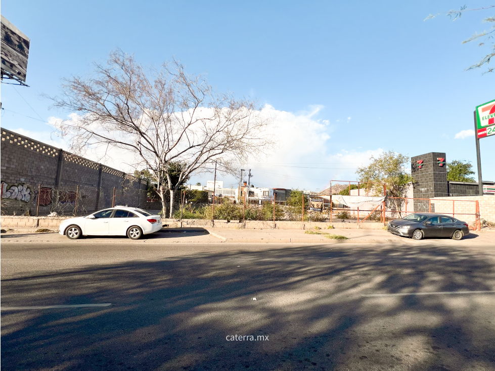 RENTA / Terreno Blvd. Ignacio Soto - 5