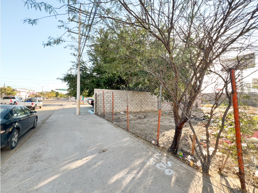RENTA / Terreno Blvd. Ignacio Soto - 6