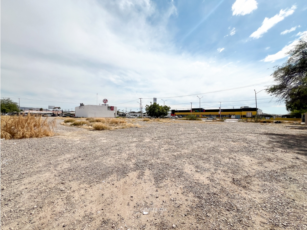 RENTA / Blvd. Ignacio Salazar - 5