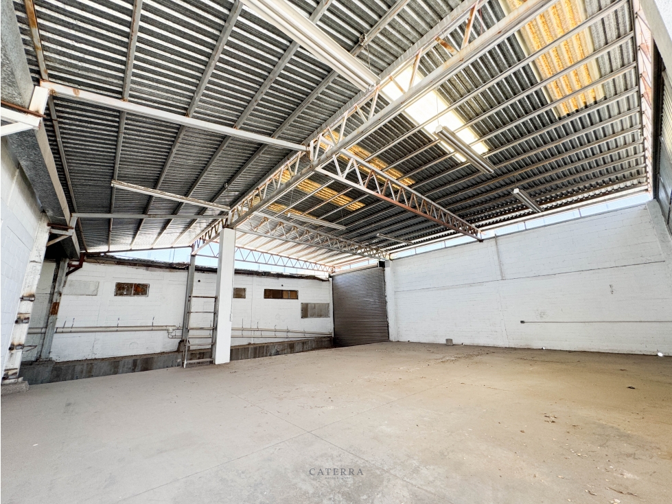 RENTA / Bodega San Benito - 4