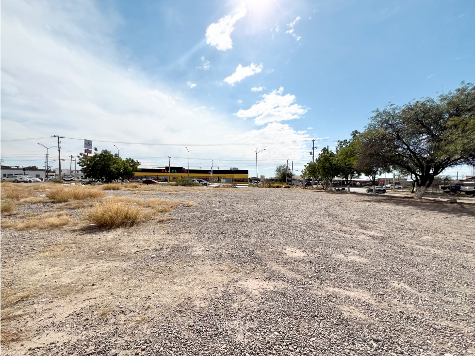 RENTA / Blvd. Ignacio Salazar - 6