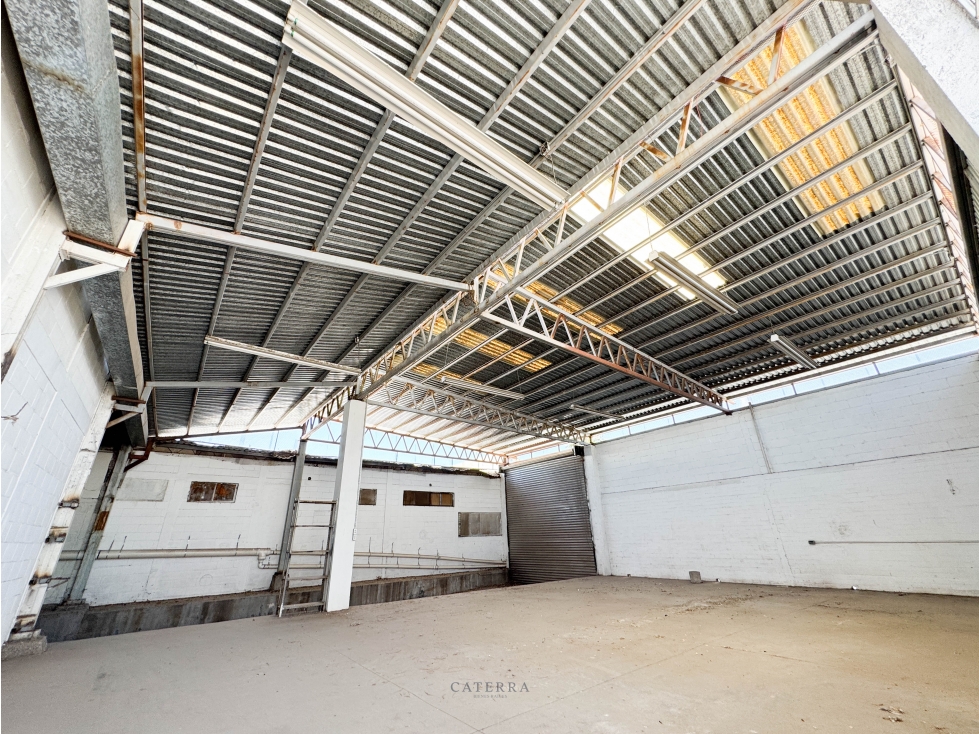 RENTA / Bodega San Benito - 5