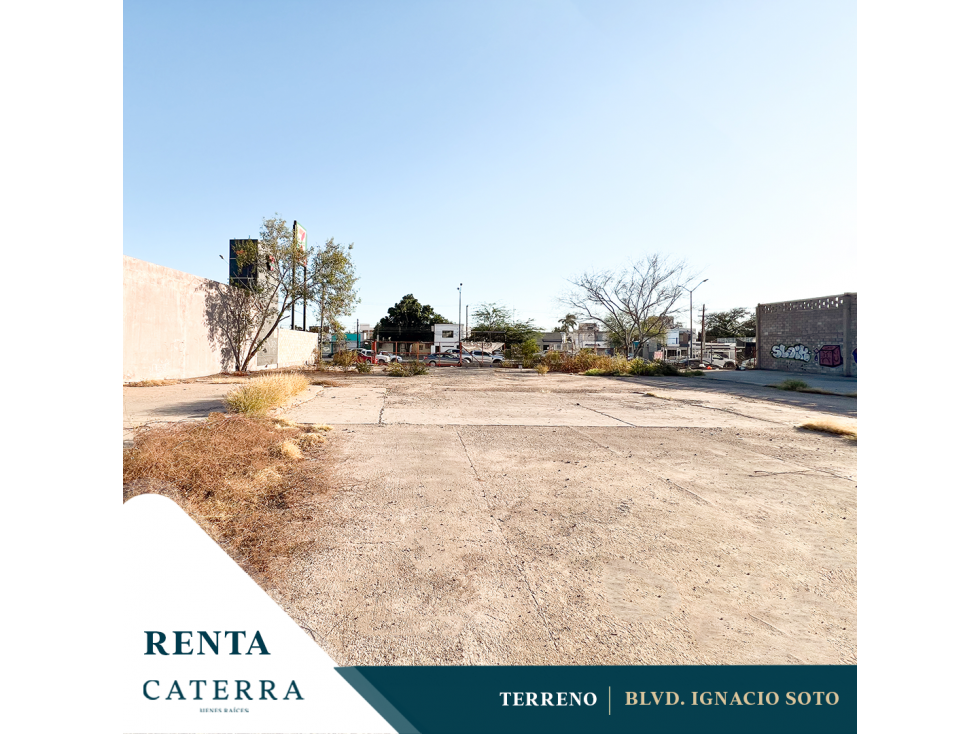 RENTA / Terreno Blvd. Ignacio Soto - 1
