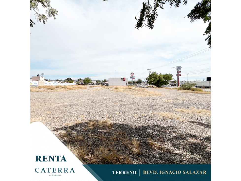 RENTA / Blvd. Ignacio Salazar - 1