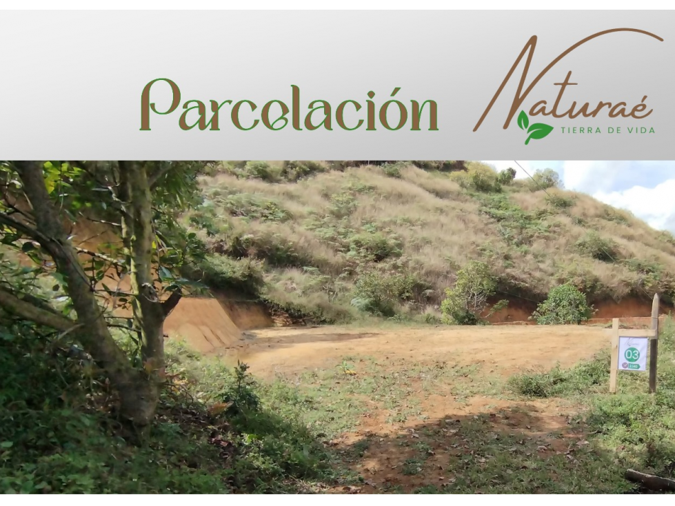 Lotes Precio de Oportunidad en San Vicente Ferrer!!