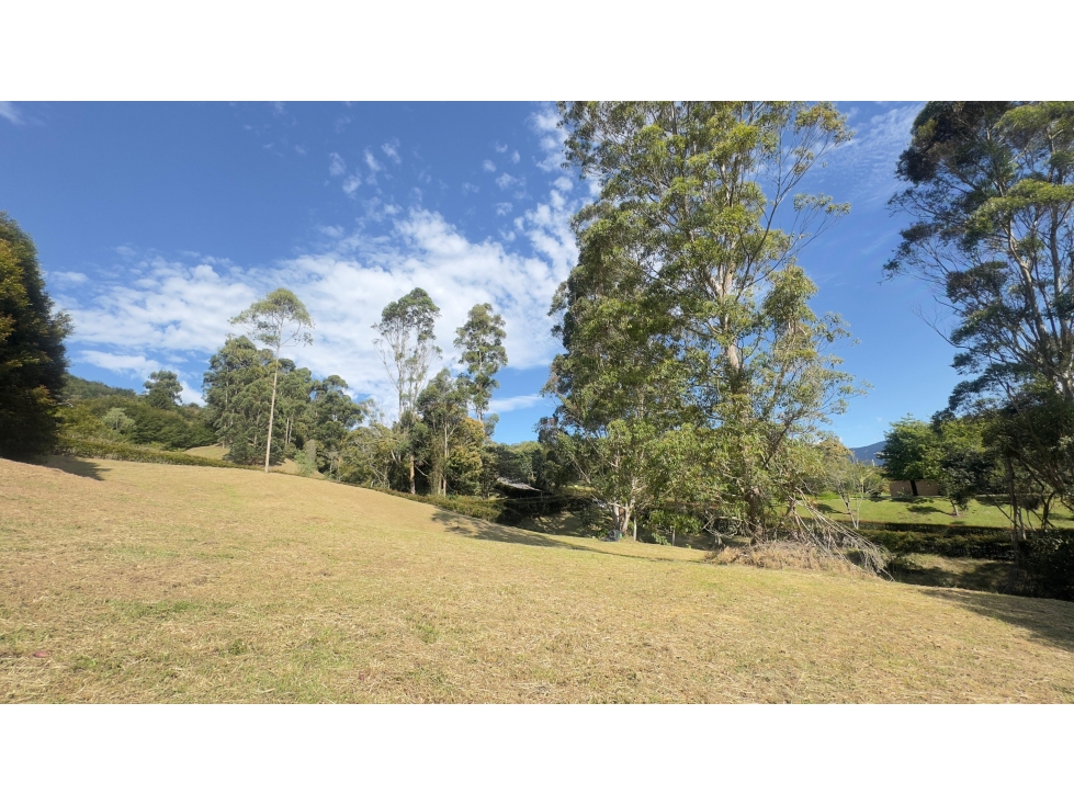 LOTE DISPONIBLE PARA VENTA - VÍA SAN ANTONIO LA CEJA