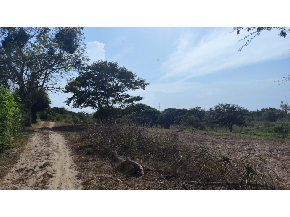 LOTE DISPONIBLE PARA VENTA - 2