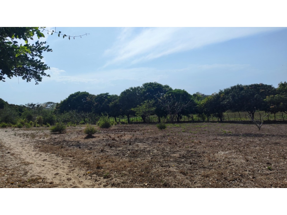 LOTE DISPONIBLE PARA VENTA - 3