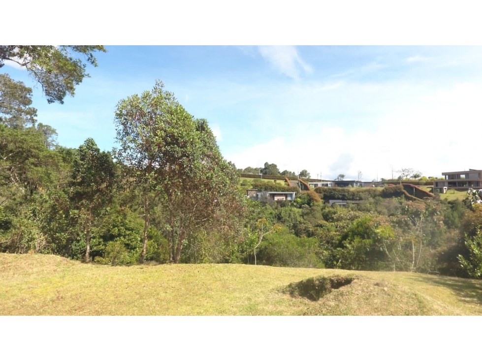 LOTE DISPONIBLE PARA VENTA - ALTO DE LAS PALMAS — foto 3