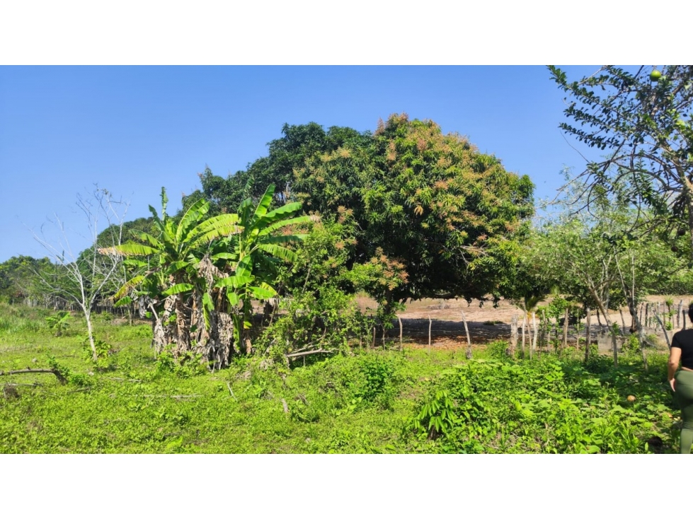 LOTE DISPONIBLE PARA VENTA - 1