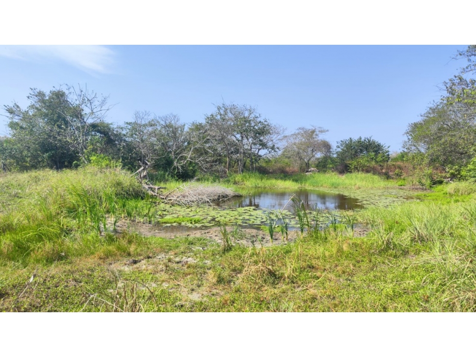 LOTE DISPONIBLE PARA VENTA - 4