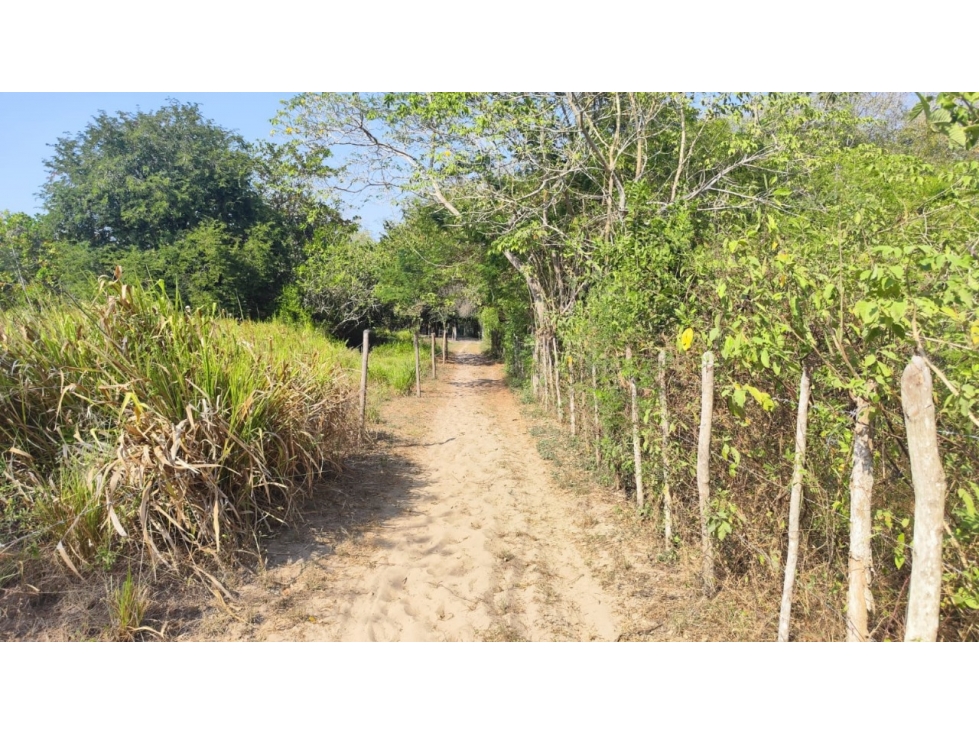LOTE DISPONIBLE PARA VENTA - 5