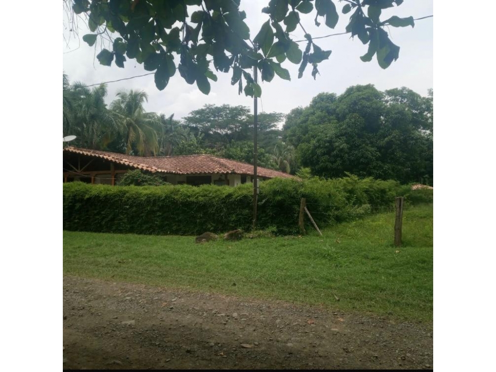Lote Cauca Viejo — foto 4