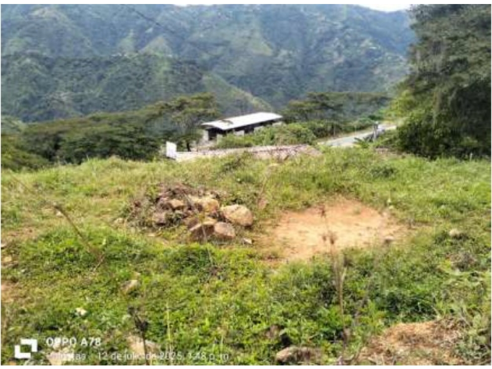 LOTE EN VENTA SAN SEBASTIAN DE PALMITAS CERCA A SAN JERONIMO — foto 2