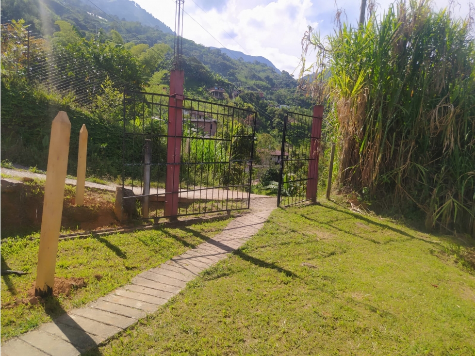 LOTE EN VENTA SAN SEBASTIAN DE PALMITAS CERCA A SAN JERONIMO — foto 3