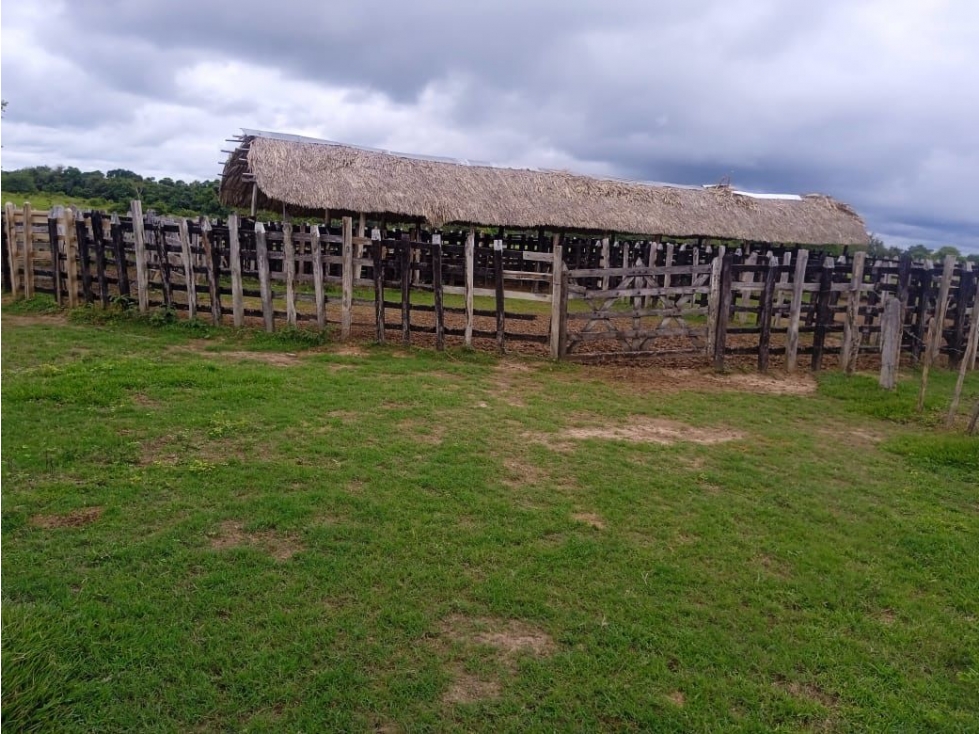 VENTA DE FINCA GANADERA HECTAREAS 967 MONTERIA