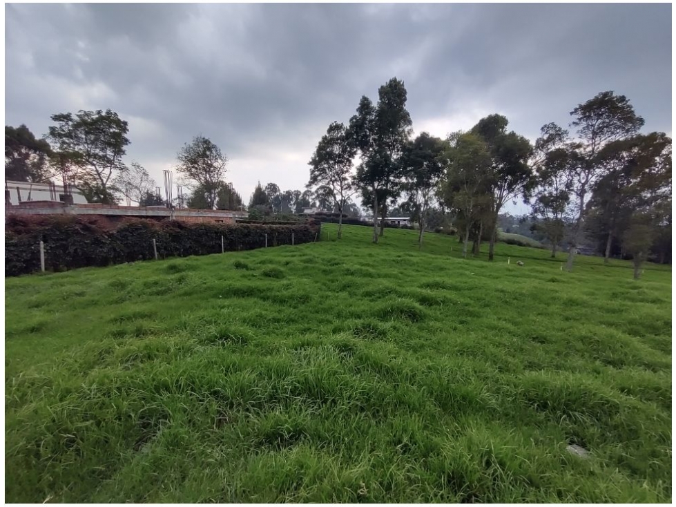 Lote en venta San Pedro Antioquia El Tambo