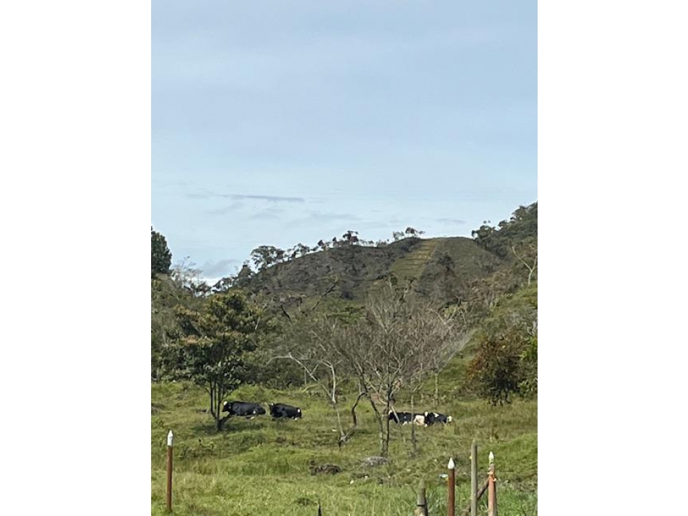 Finca agroindustrial en Venta VEREDA LOS PLANES Santo Domingo - 1
