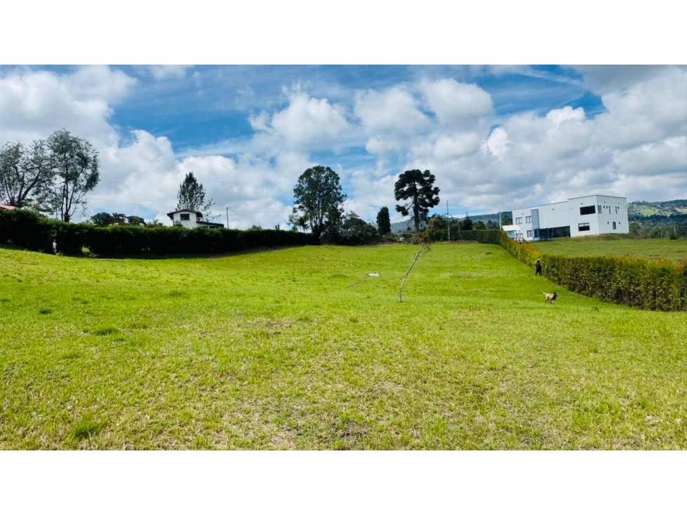 Lote en Venta Vereda hojas Ancha Guarne