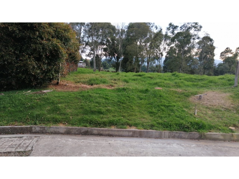 Lote en venta San Pedro de Los Milagros El Tambo — foto 4