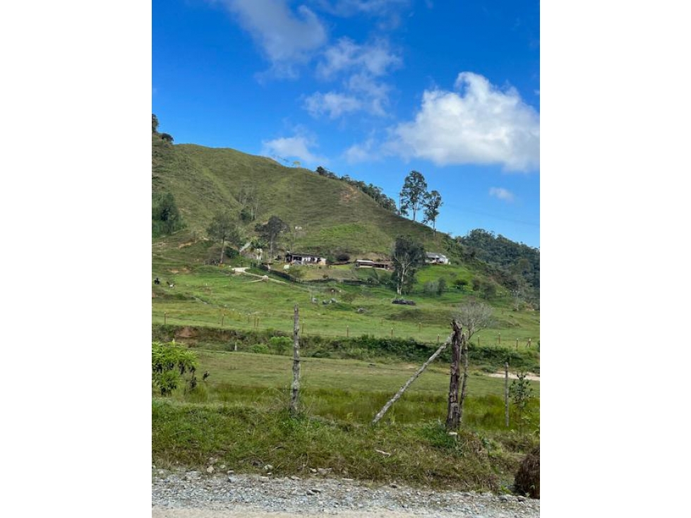 Finca agroindustrial en Venta VEREDA LOS PLANES Santo Domingo - 2